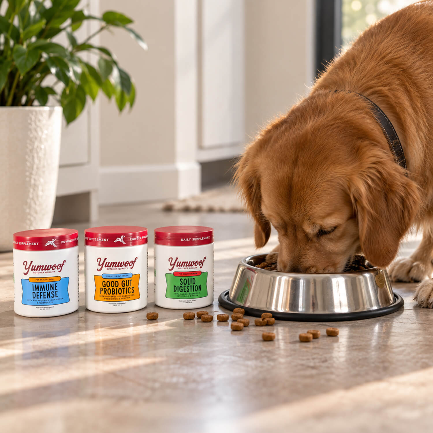 Dog supplement packaging decorated with multi-color silk-screen printing